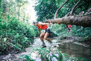 BIB: 
                            <button type="button" onclick="openModal(25430487)" class="btn btn-primary btn-sm float-right btn-popup" data-toggle="modal" data-target=".modal-high-quality">
                        <i class="fas fa-shopping-cart"></i> Add to Cart
                    </button>
                                            <button type="button" onclick="isThisMe(25430487, true)" class="btn btn-success btn-sm float-right btn-popup btn-isme hidden" data-toggle="tooltip" data-placement="bottom" title="นี่คือรูปของคุณใช่ไหม คลิกที่นี่เพื่อเอาเข้าอัลบั้ม">
                        <i class="fas fa-plus"></i> Add to album
                    </button>
                    <button type="button" onclick="isThisMe(25430487, false)" class="btn btn-warning btn-sm float-right btn-popup btn-isnotme hidden">
                        <i class="fas fa-ban"></i> Remove from album
                    </button>